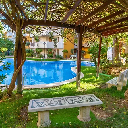 Apartment Amazing In With Wifi Torrevieja